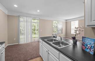 apartment kitchen with double bowl sink