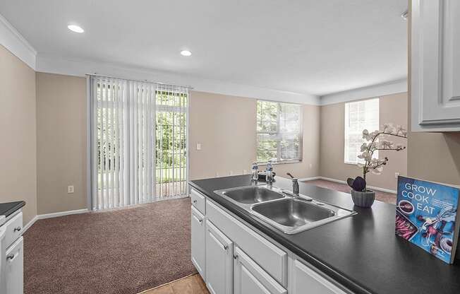 apartment kitchen with double bowl sink