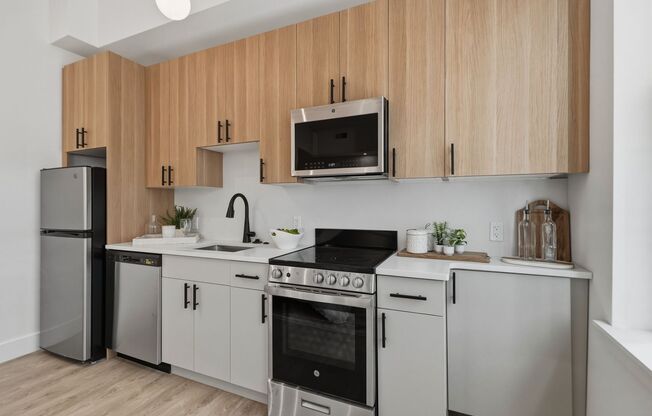 Studio, 1 bath, 675 sqft, $1,575