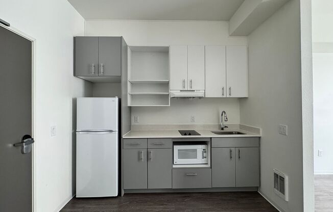 Studio, 1 bath, 317 sqft, $1,095, Unit 207