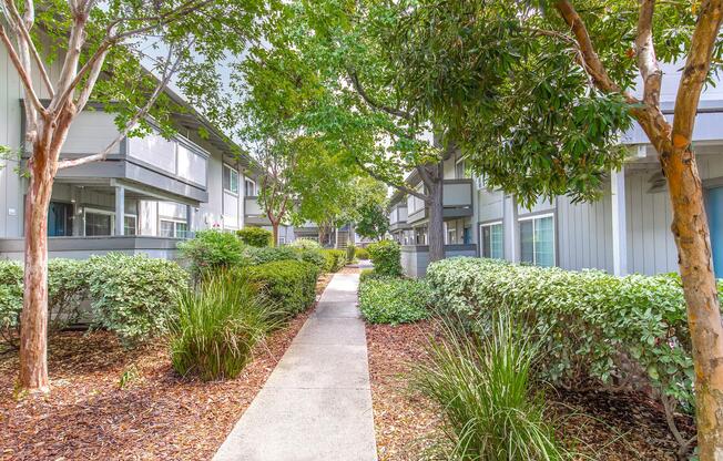 A well-maintained pathway leads through a green landscape in an apartment complex. Lush bushes and trees line the sides, providing shade and a natural aesthetic. The buildings are modern with a neutral color palette, creating a peaceful, inviting atmosphere in the outdoor space.