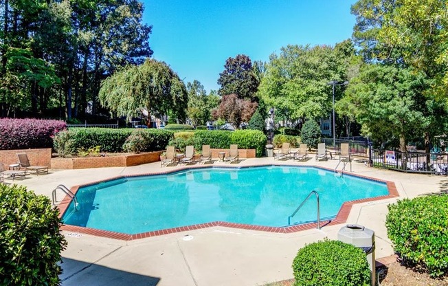 Swimming pool with trees surrounding