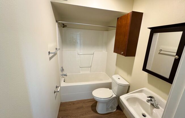 Studio, 1 bath, 154 sqft, $1,195, Unit 258