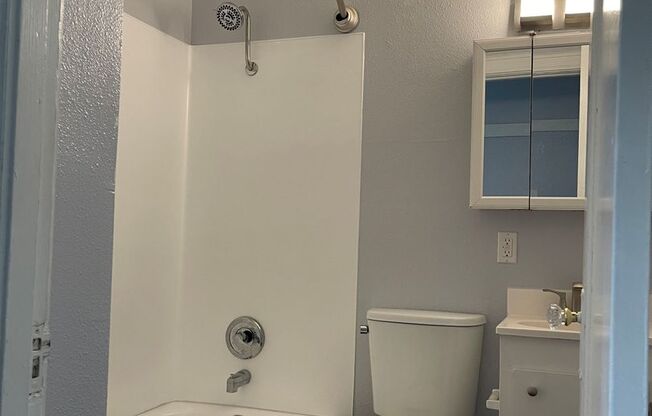 Studio, 1 bath, 350 sqft, $1,235, Unit 202