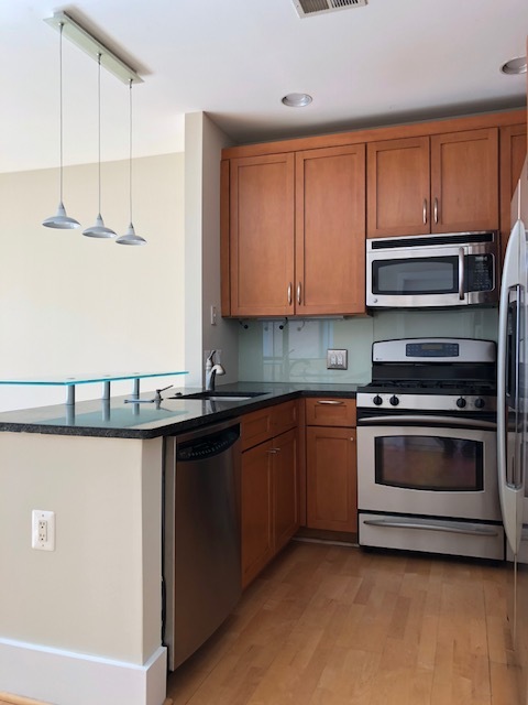 1 bed, 1 bath, $2,625