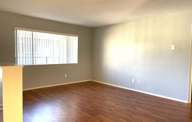 Open and Spacious 2 Bedroom, 1 Bathroom Apartment in San Pedro