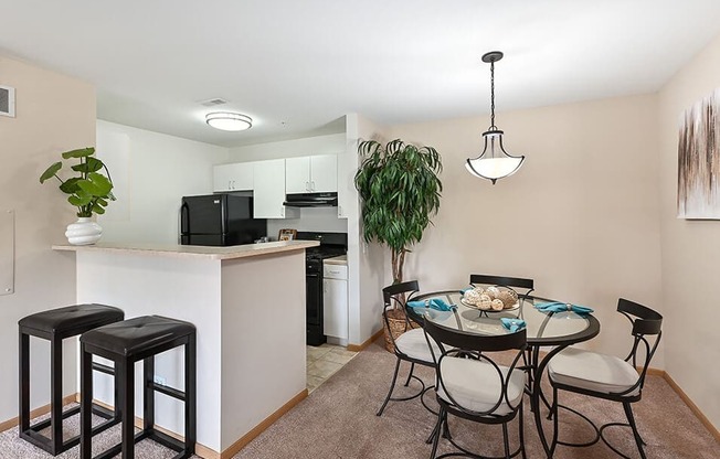 Apartment Kitchen and Dining Area