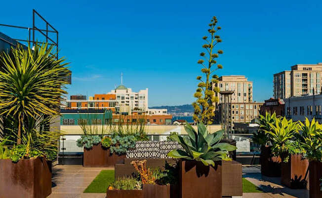 A rooftop garden at Arc Light, San Francisco California