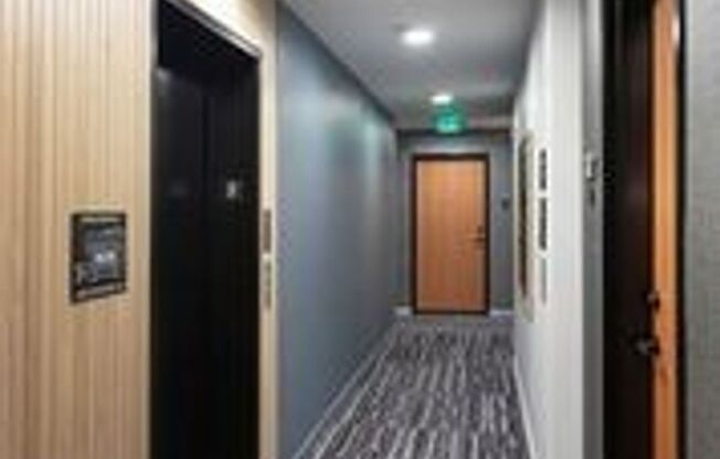 Studio, 1 bath, 254 sqft, $1,275, Unit 211