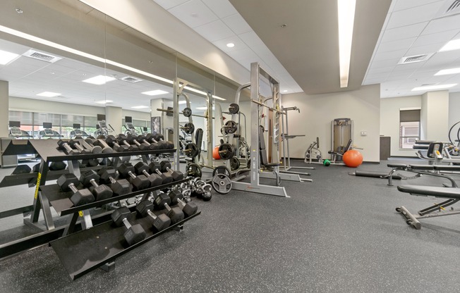 Apartments in Downtown Madison, Wisconsin. Domain Apartments offers luxury studio, 1 bedroom, 1 bedroom + Den, and 2 bedroom apartments.