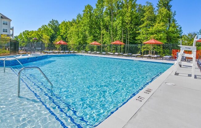 a swimming pool with chairs and umbrellas in front of trees