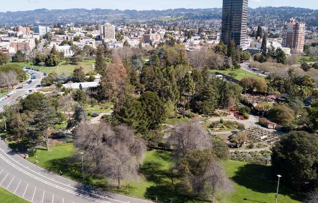 A cityscape with a road curving through a park.