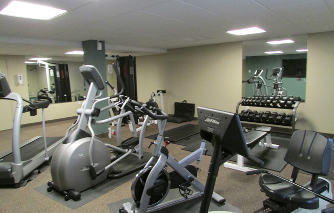 Studio, 1 bath, 494 sqft, $988, Unit 99-200