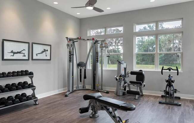A home gym with a variety of equipment including a bench, weights, and a treadmill.