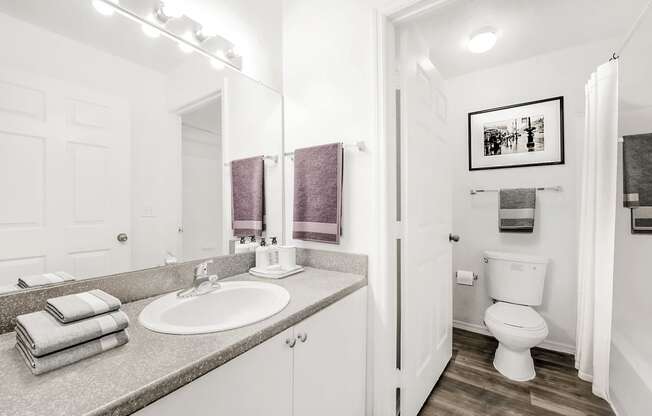 Virtually staged bathroom with large mirror, wood plank flooring, gray countertop, toilet and tub with white shower curtain