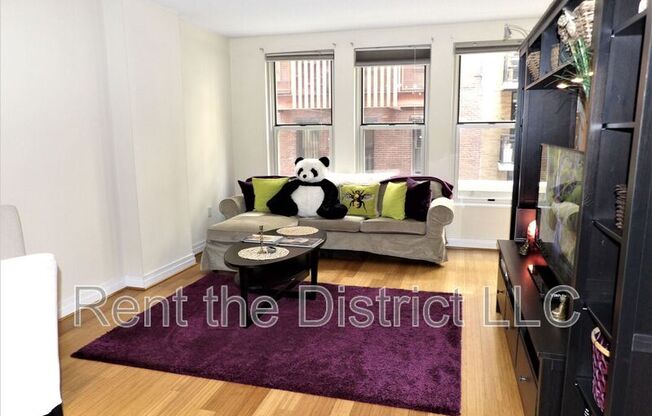 915 E Street NW #1002