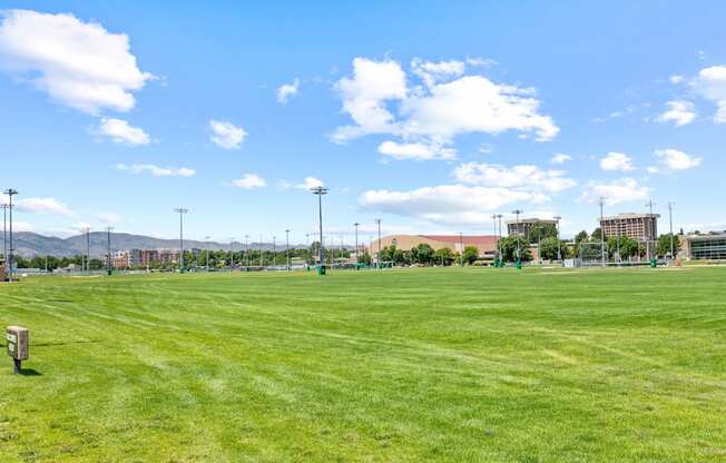 A large grassy field with a bench and floodlights.