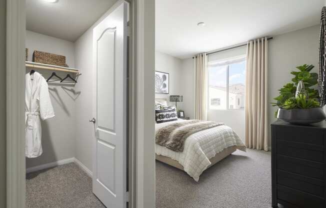 Large Walk-In Closets at Mitchell Place Apartments, Murrieta, CA