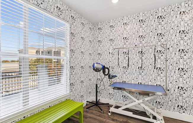 Encore at Buckingham apartment in Richardson, TX dog spa