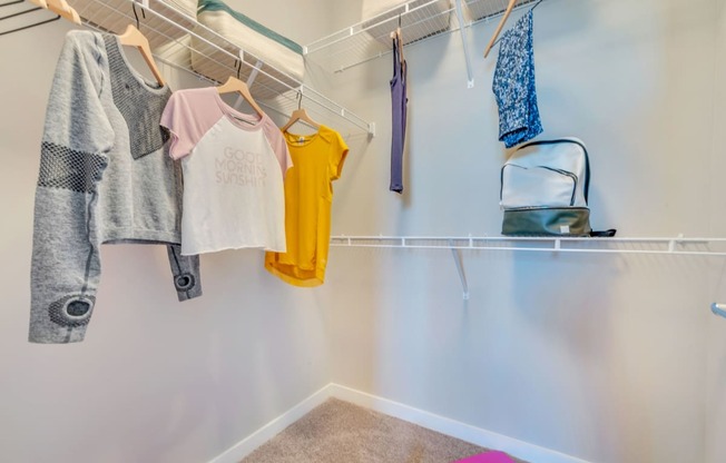 a walk in closet with clothes hanging on the rails at Abberly Noda Vista Apartment Homes, North Carolina, 28206