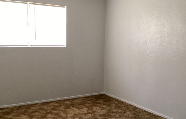 Newly Renovated 3 Bed House!
