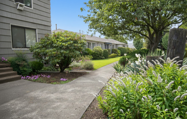 Mt. Tabor Court