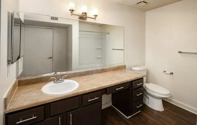 a bathroom with a sink and a toilet and a mirror
