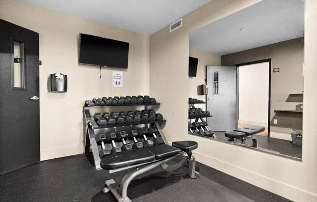 a fitness room with a row of weights and a mirror