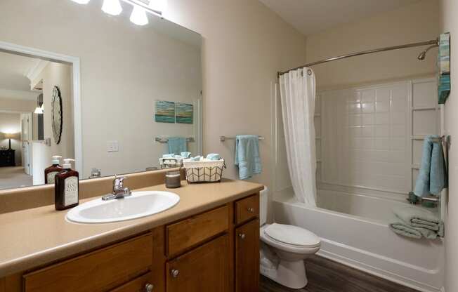 Luxurious Bathroom at Abberly Green Apartment Homes, Mooresville