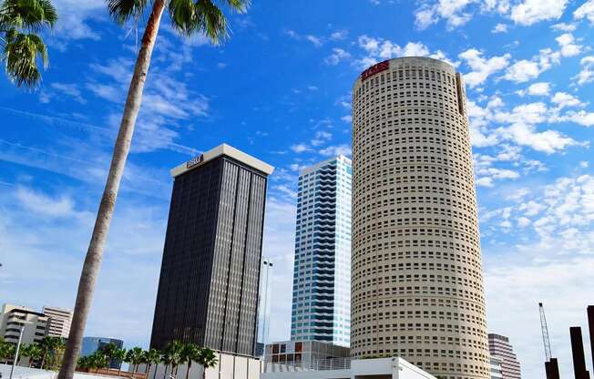 Tall Buildings in Tampa
