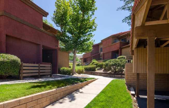 a sidewalk between two buildings with a tree in the middle