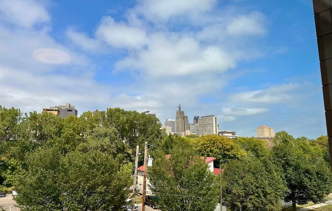1 bed, 1 bath, 544 sqft, $1,350, Unit 322