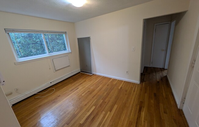19 Pine St.