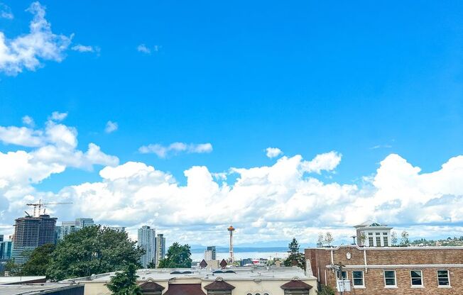 Studio, 1 bath, 280 sqft, $1,295, Unit 208