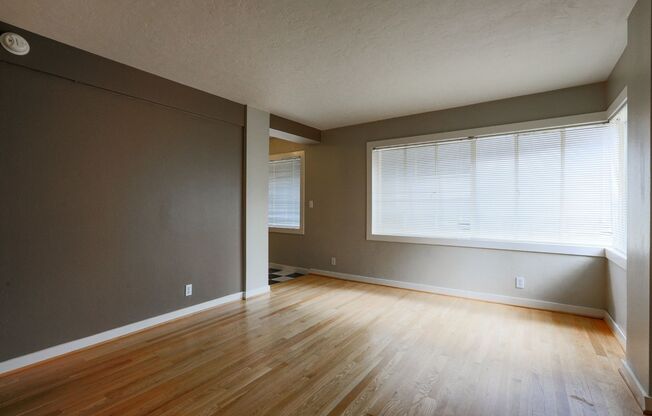 1 bed, 1 bath, 550 sqft, $1,350, Unit 206