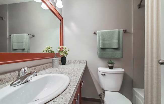 a bathroom with a sink and a toilet and a mirror