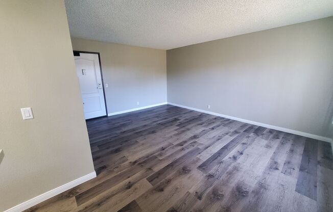 Studio, 1 bath, 408 sqft, $1,900, Unit 141