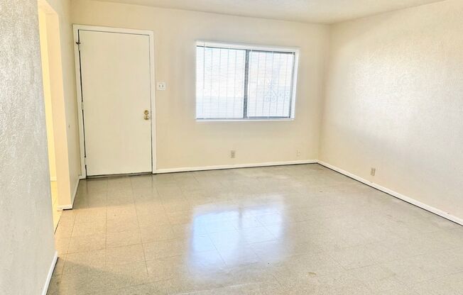 One Bedroom Units with Walk-in Closet