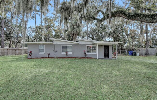 Newly renovated 3 bedroom/1 bathroom home in Orange Park
