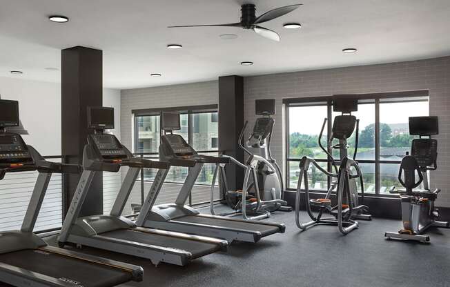 A gym with treadmills, elliptical machines, and a fan.