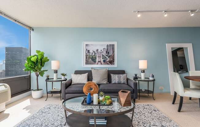 Living and dining area