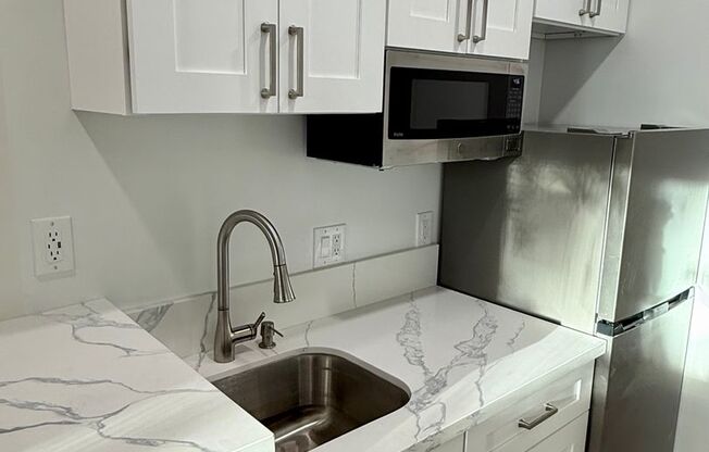 Studio, 1 bath, 228 sqft, $1,550, Unit 0134-40