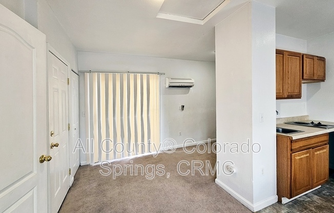 508 E CACHE LA POUDRE ST