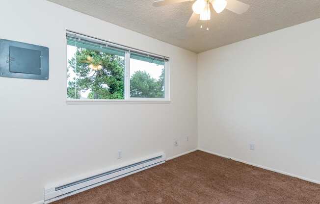 Pinewood Terrace Apartments | Second Bedroom showing carpet and window