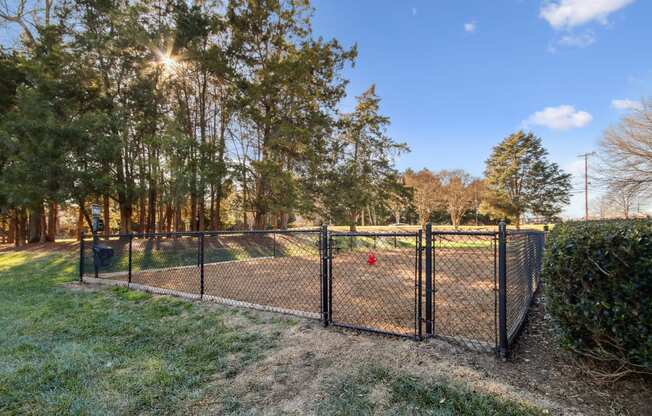 the dog park at Johnston Creek Crossing in Charlotte, NC