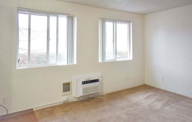 Studio, 1 bath, 476 sqft, $950, Unit 21