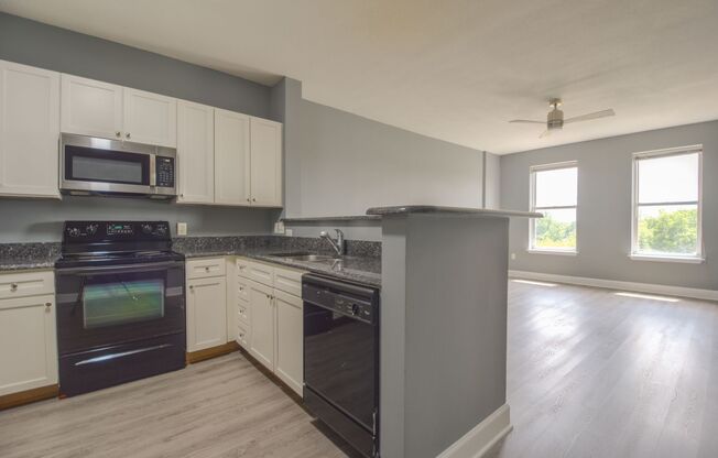 1 bed, 1 bath, $1,600, Unit # 536