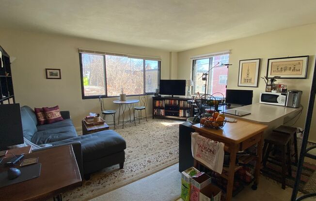 1 bed, 1 bath, 550 sqft, $1,275, Unit 204