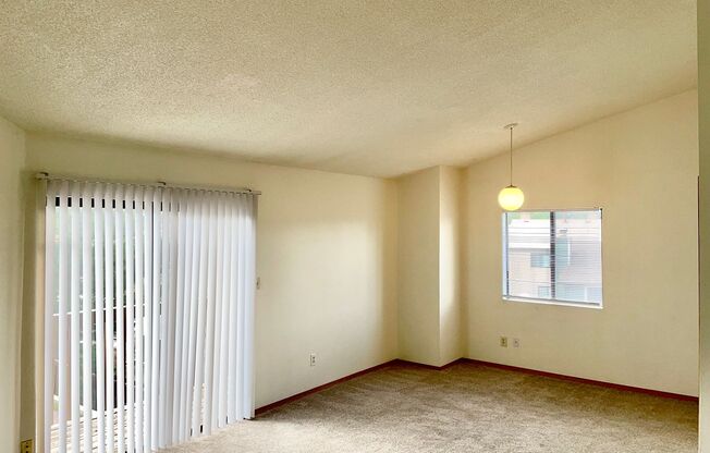 Delmonico Drive 6807