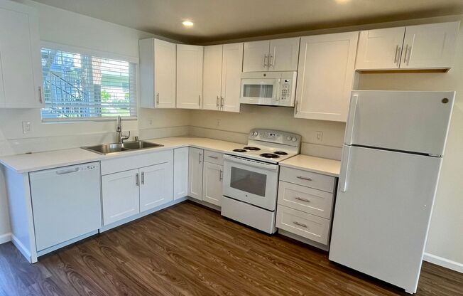 1 bed, 1 bath, 800 sqft, $1,995